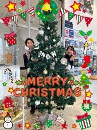 今年もクリスマスツリーやってきました！